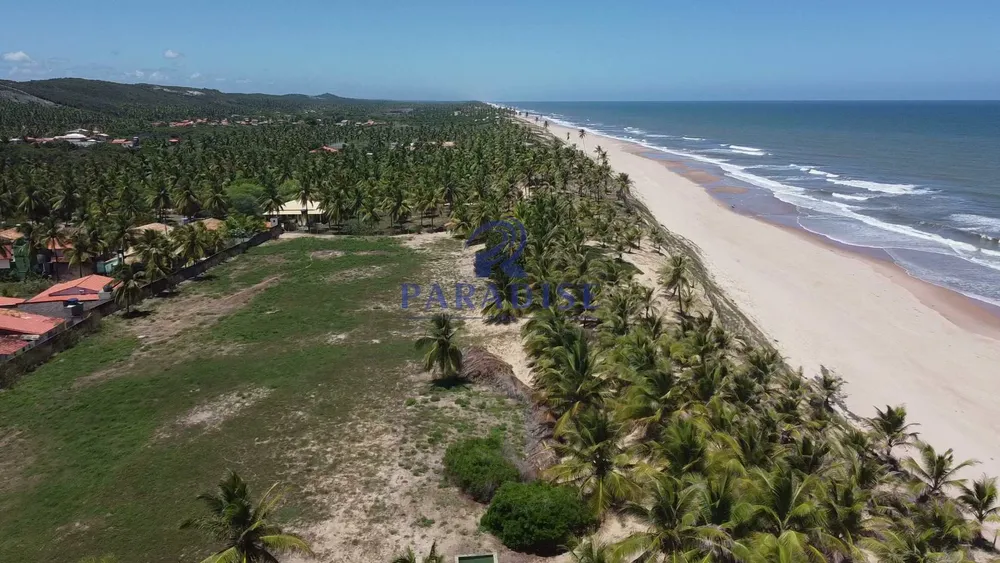 Terreno, 2 hectares - Foto 6