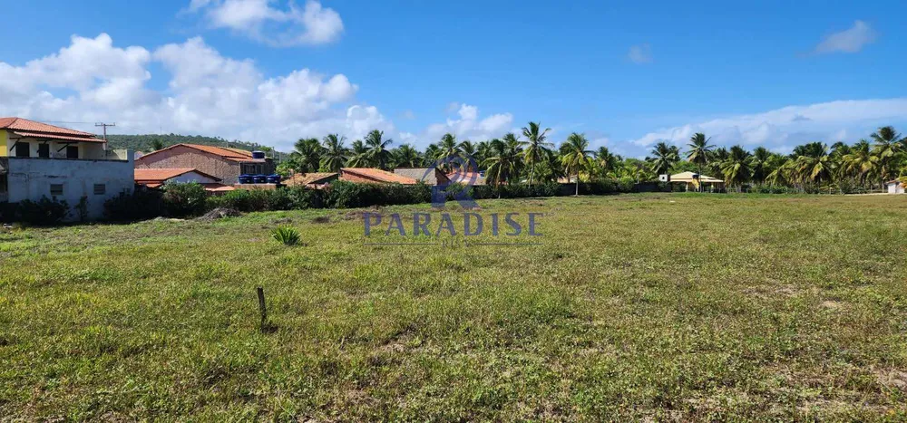 Terreno, 2 hectares - Foto 7