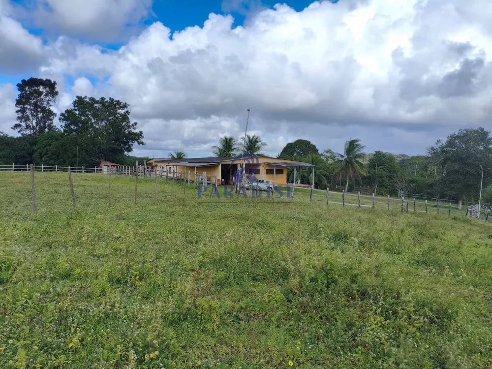 Fazenda - Foto 6