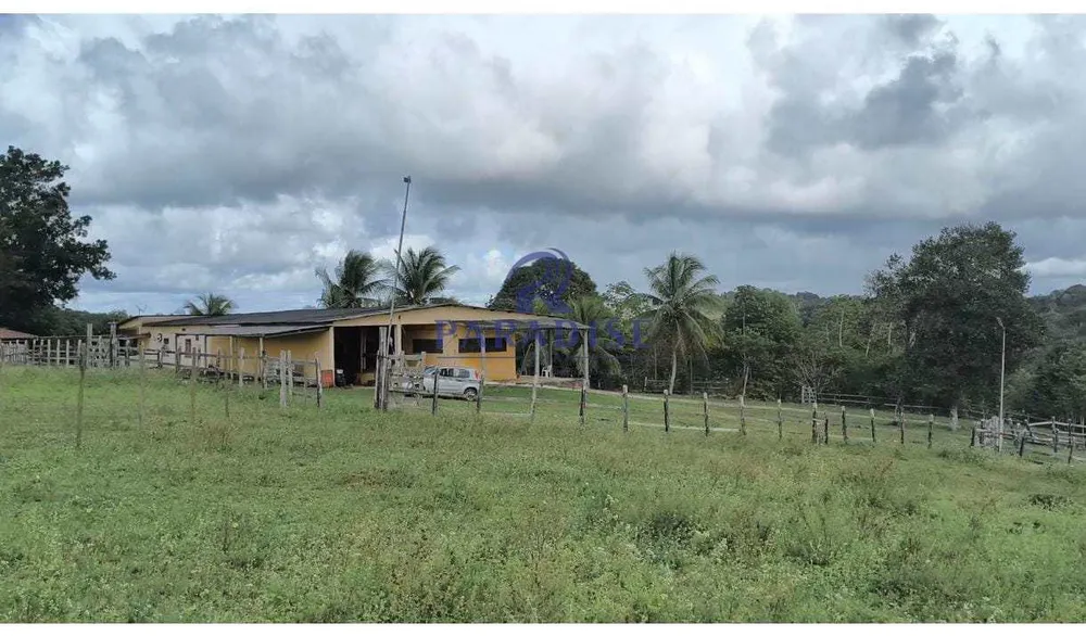 Fazenda - Foto 5