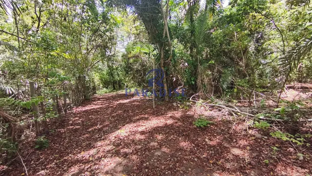 Terreno, 3 hectares - Foto 3