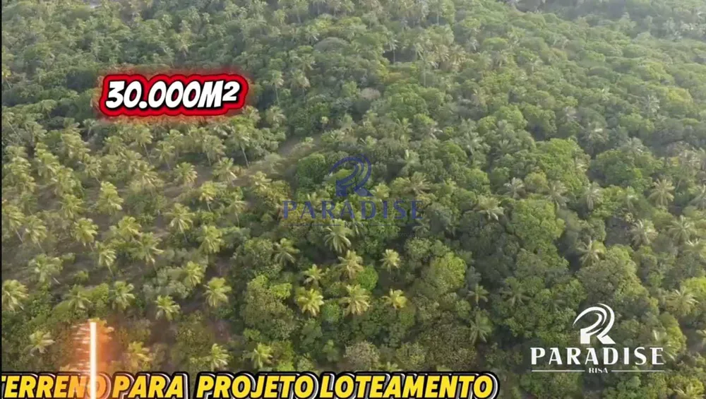 Terreno, 3 hectares - Foto 4