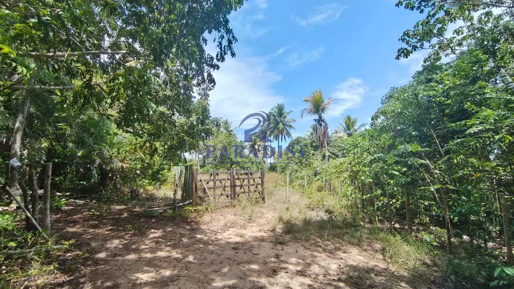 Terreno, 3 hectares - Foto 1