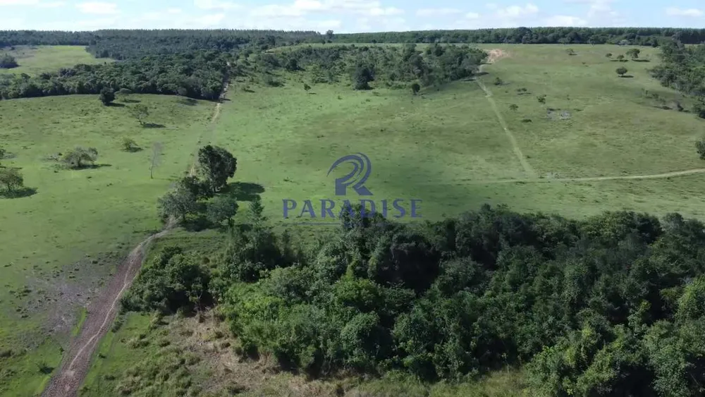 Fazenda, 193 hectares - Foto 10