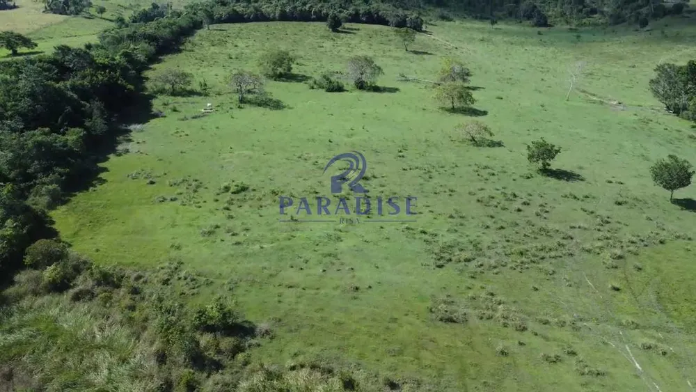 Fazenda, 193 hectares - Foto 8