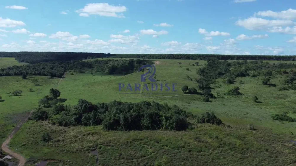 Fazenda, 193 hectares - Foto 4