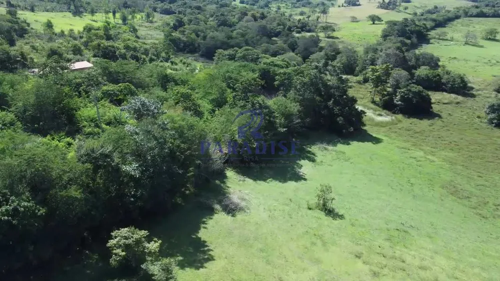 Fazenda, 193 hectares - Foto 7