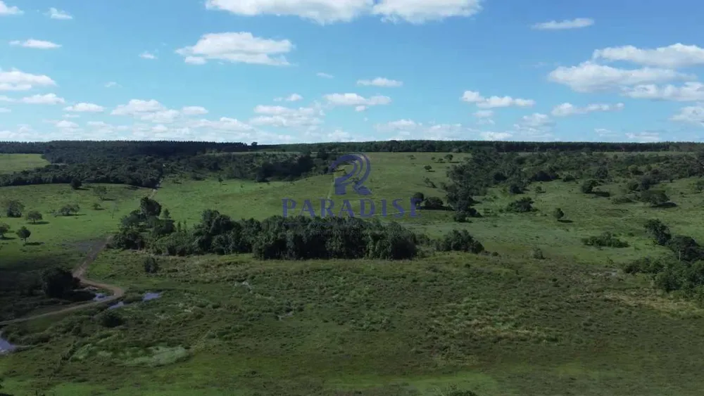 Fazenda, 193 hectares - Foto 3