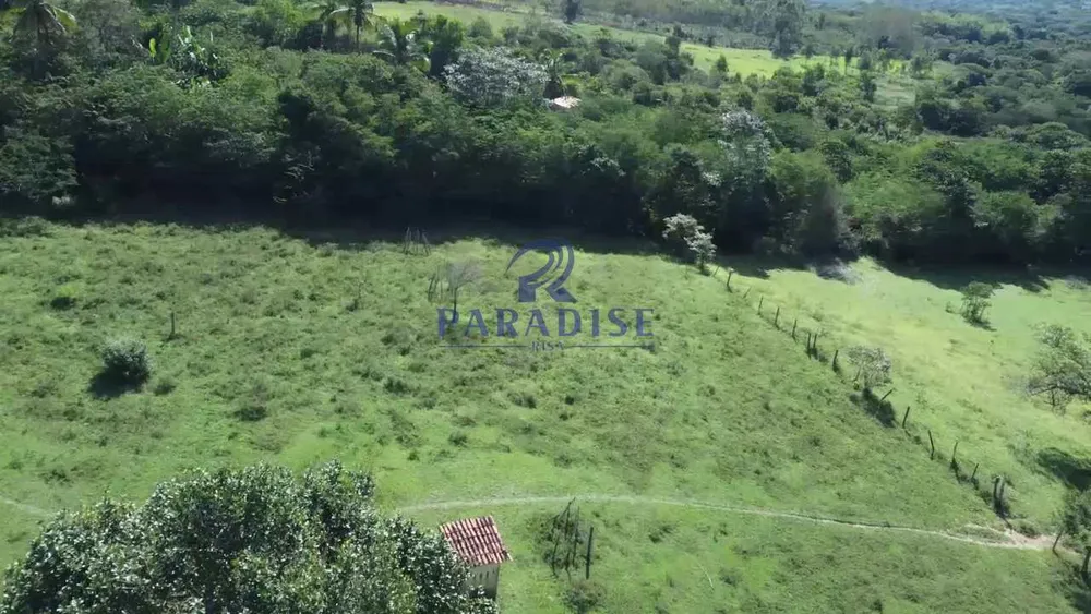 Fazenda, 193 hectares - Foto 6