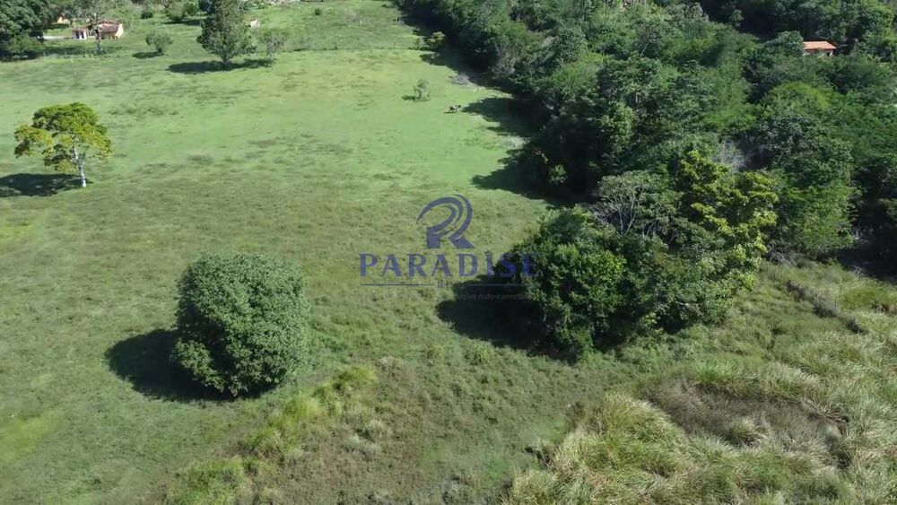 Fazenda, 193 hectares - Foto 2