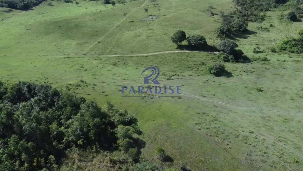 Fazenda, 193 hectares - Foto 3