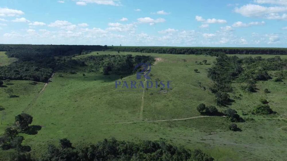 Fazenda, 193 hectares - Foto 1
