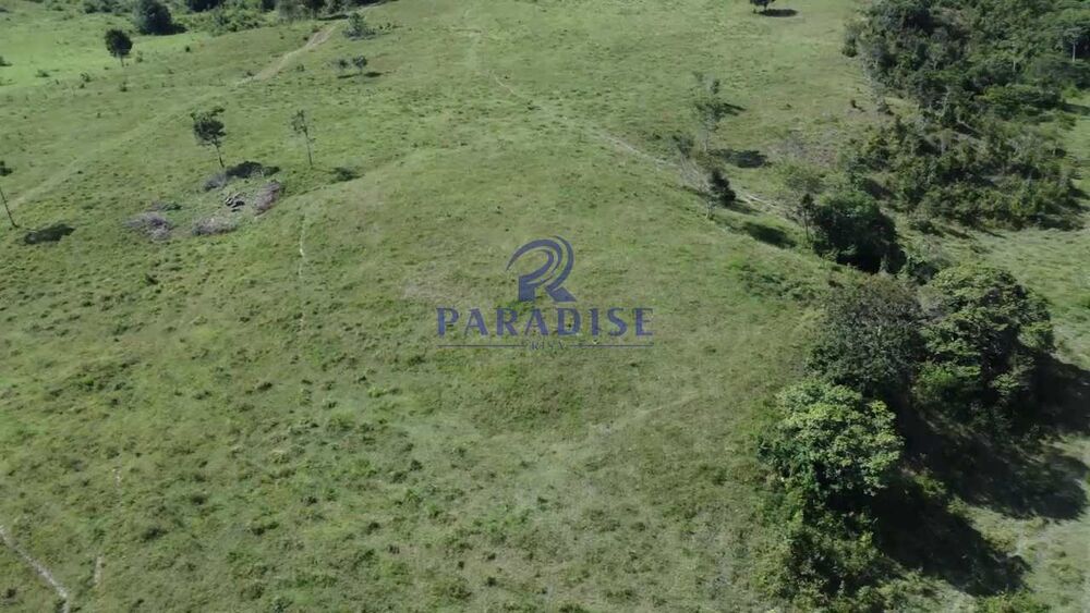 Fazenda, 193 hectares - Foto 4