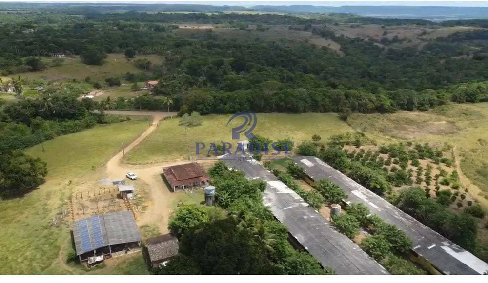 Fazenda - Foto 4