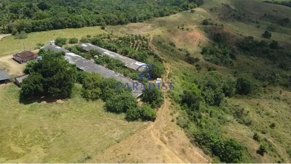 Fazenda - Foto 5