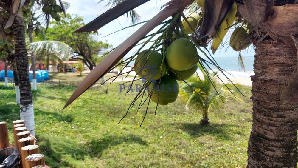 Apartamento, 3 quartos, 92 m² - Foto 3