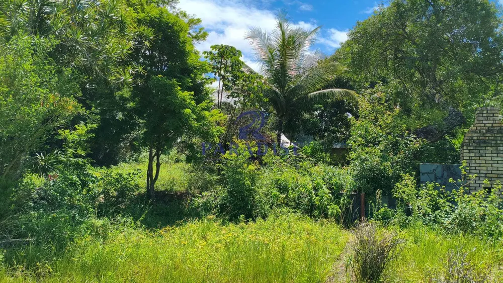 Chácara, 5 quartos, 8200 m² - Foto 5