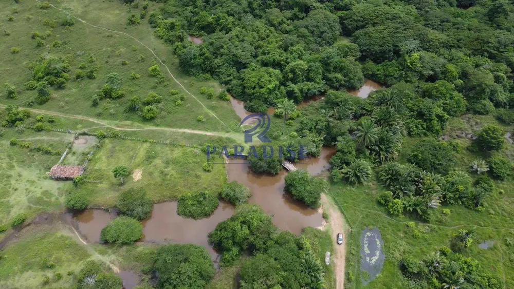 Fazenda, 211 hectares - Foto 13