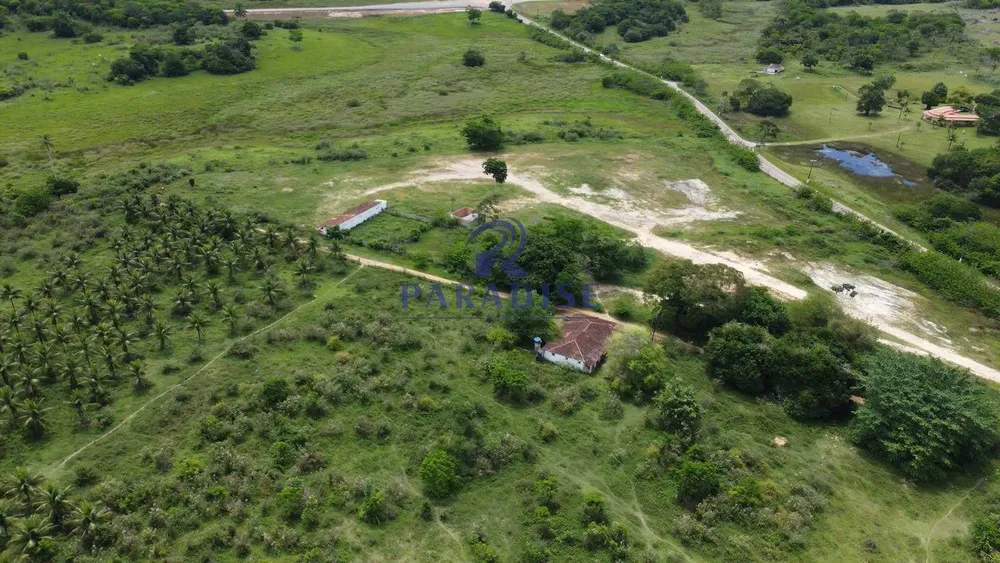 Fazenda, 211 hectares - Foto 3