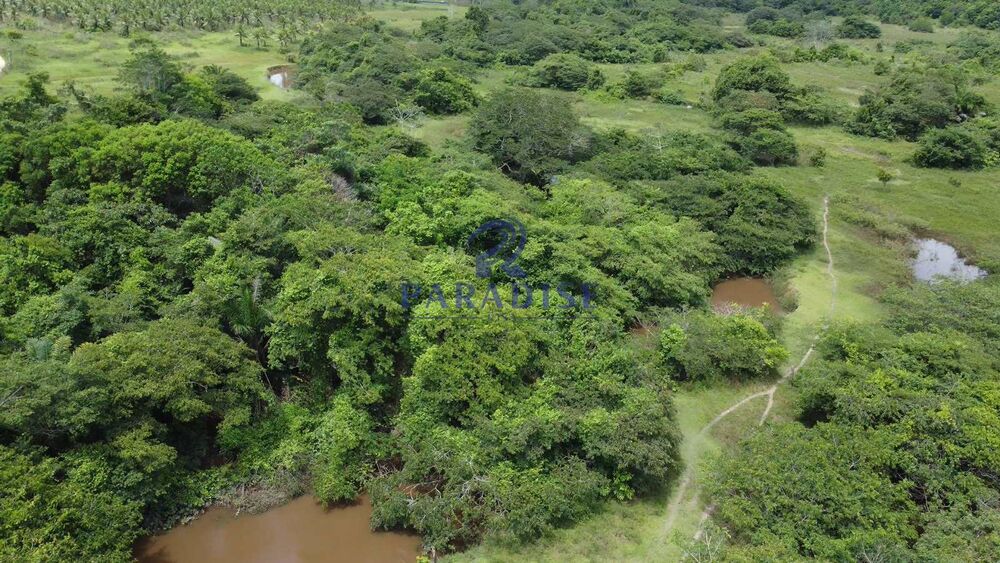 Fazenda à venda, 2114000m² - Foto 12