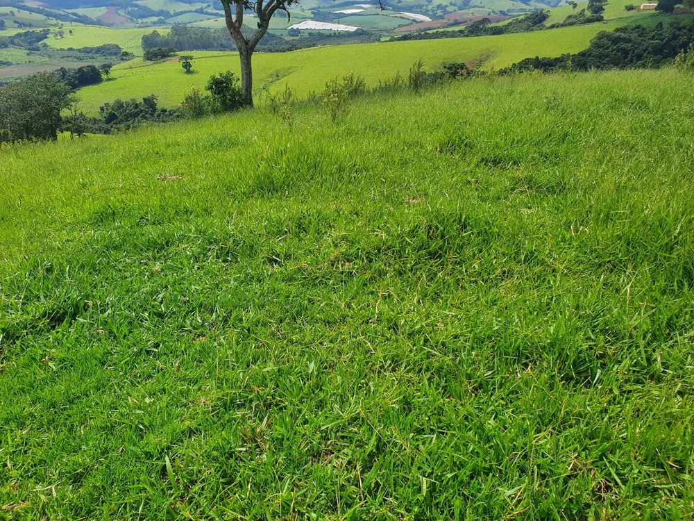 Fazenda - Foto 4