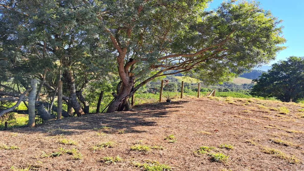 Terreno à venda, 2000m² - Foto 2