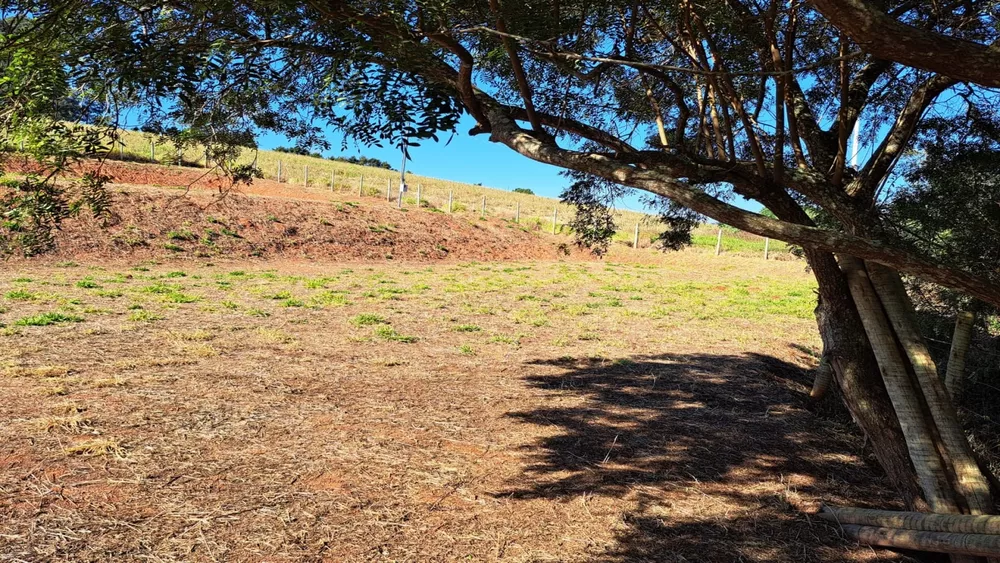 Terreno à venda, 2000m² - Foto 1