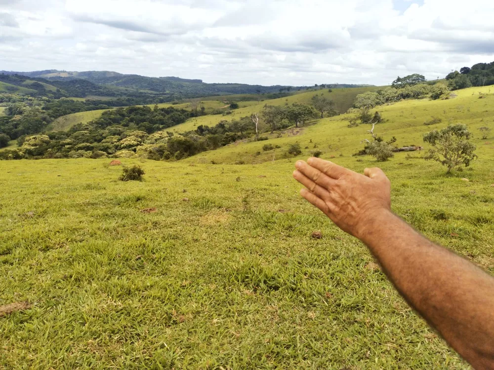 Fazenda à venda - Foto 4