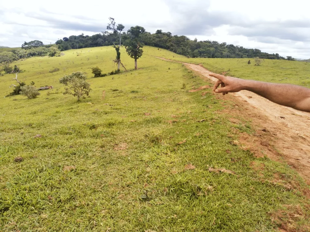 Fazenda à venda - Foto 6