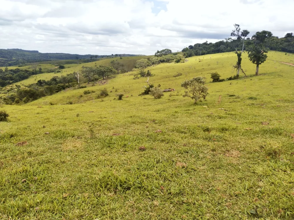 Fazenda à venda - Foto 7