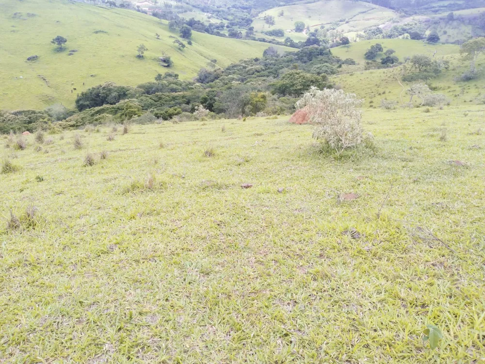 Fazenda à venda - Foto 8