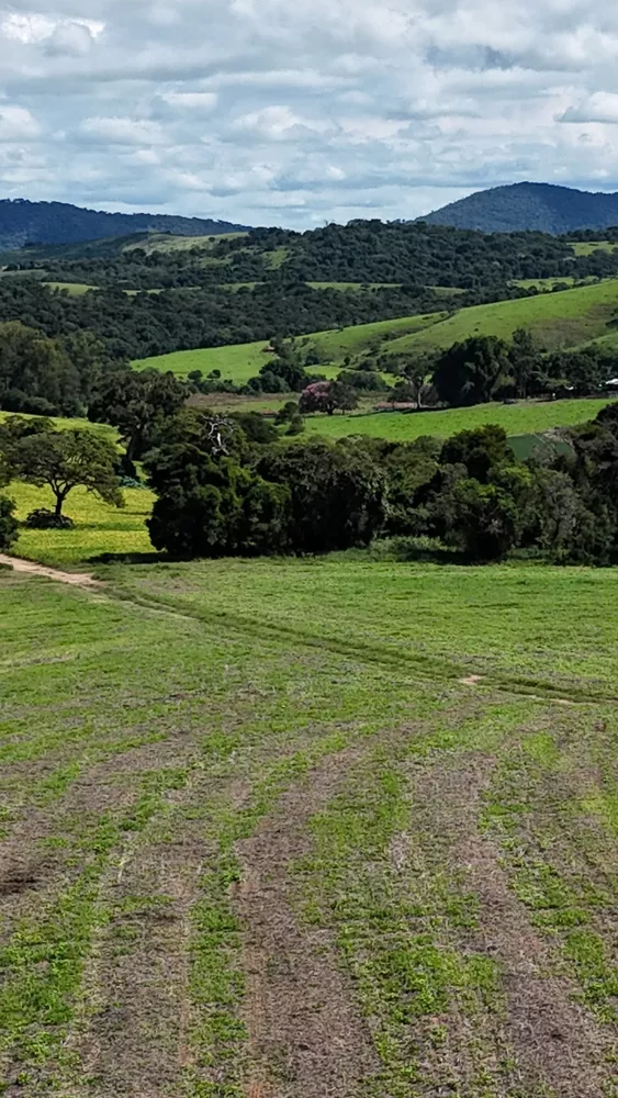 Fazenda - Foto 8