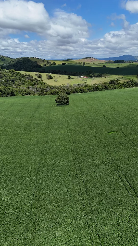 Fazenda à venda - Foto 2