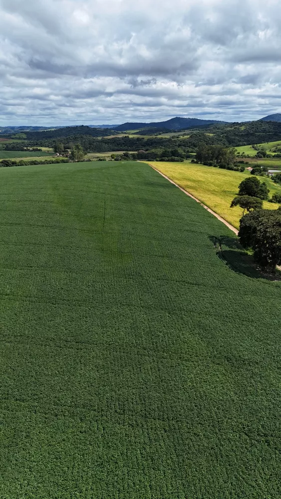 Fazenda à venda - Foto 3