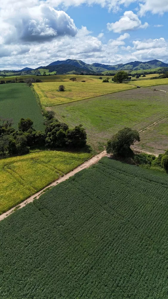 Fazenda - Foto 5