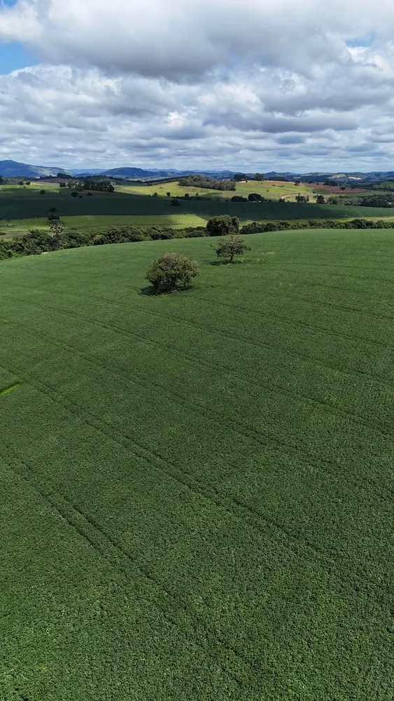 Fazenda à venda - Foto 1