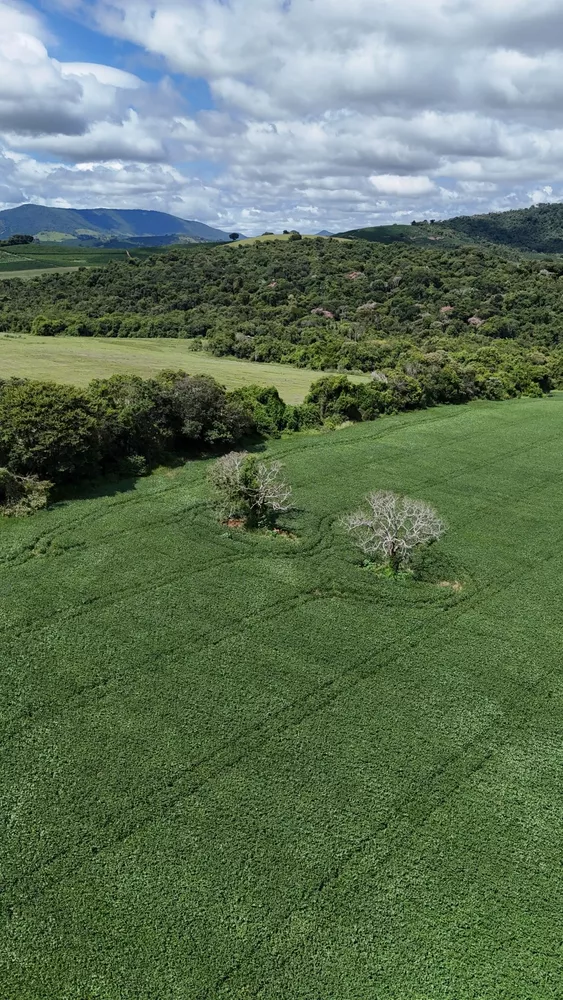 Fazenda à venda - Foto 4