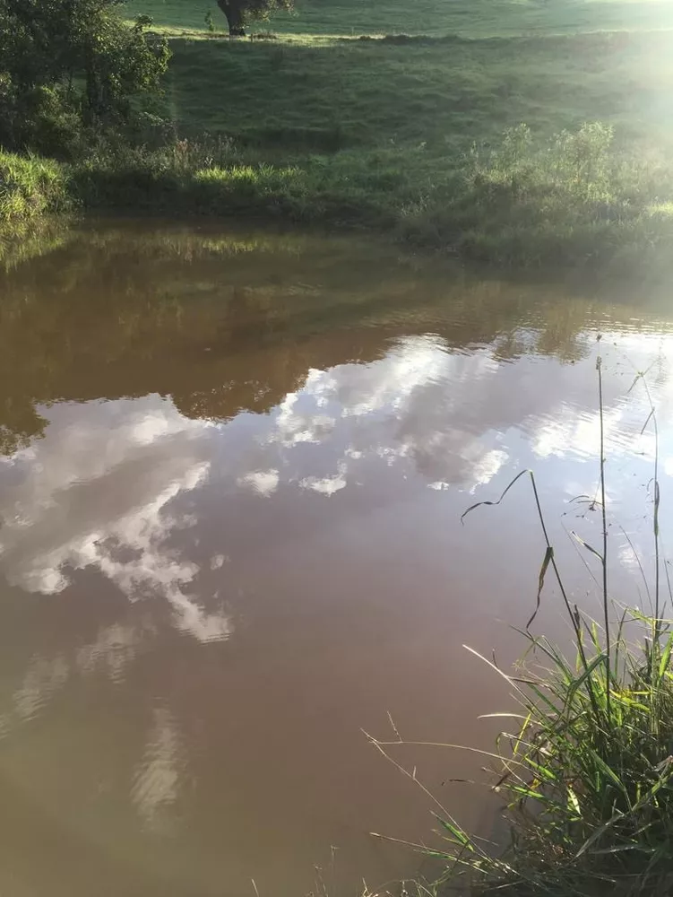Fazenda - Foto 1