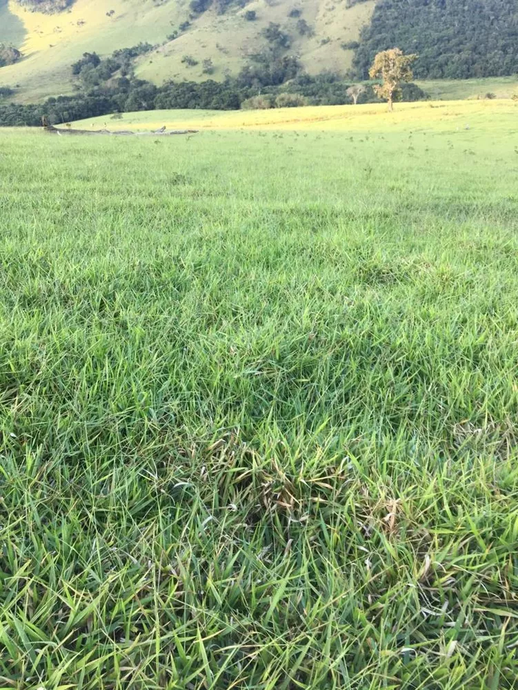 Fazenda - Foto 4
