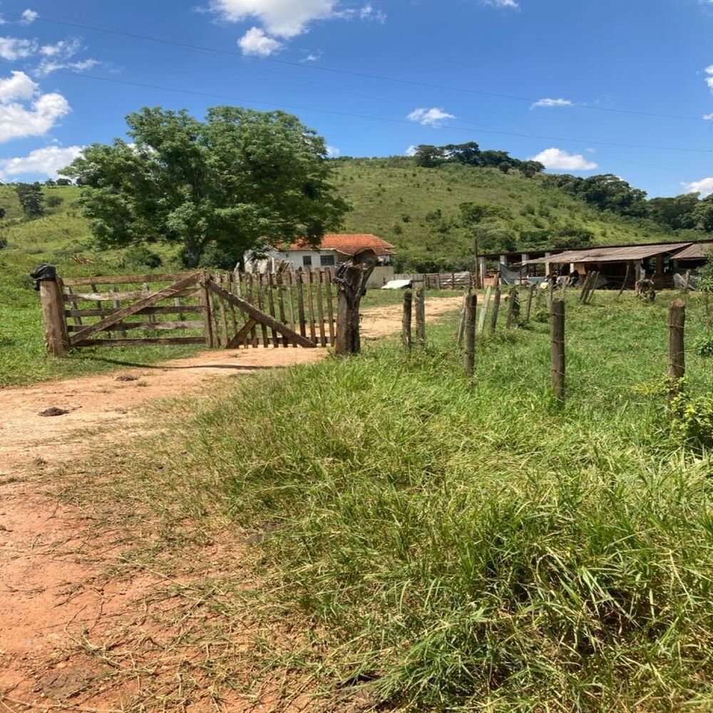 Fazenda - Foto 1