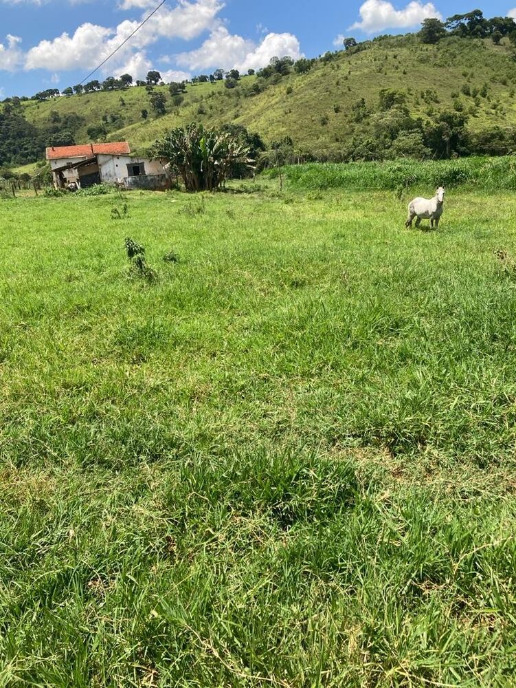 Fazenda - Foto 10
