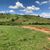 Fazenda-Sítio-Chácara - Foto 3
