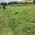 Fazenda-Sítio-Chácara - Foto 5