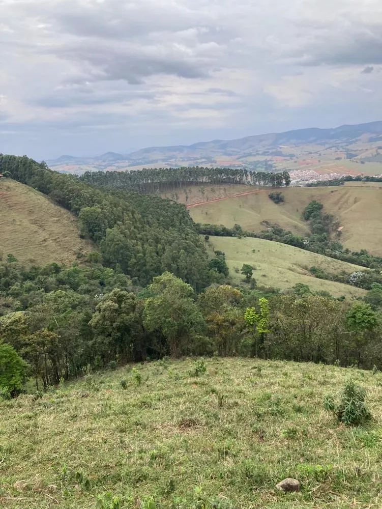 Terreno, 8 hectares - Foto 8