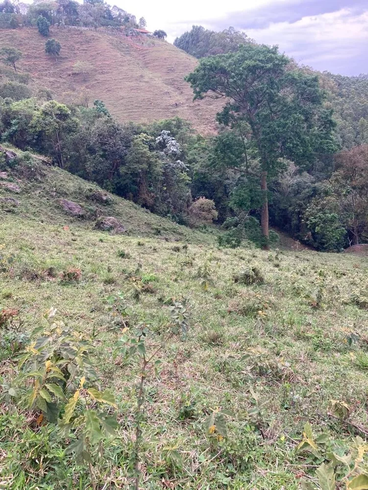 Terreno, 8 hectares - Foto 6