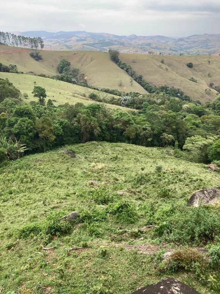 Terreno à venda, 84700m² - Foto 3