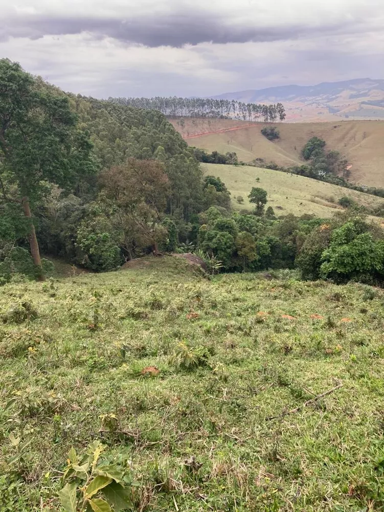 Terreno, 8 hectares - Foto 7