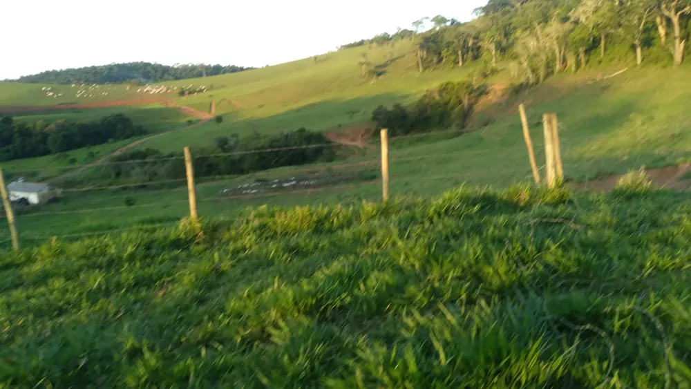 Fazenda à venda - Foto 3