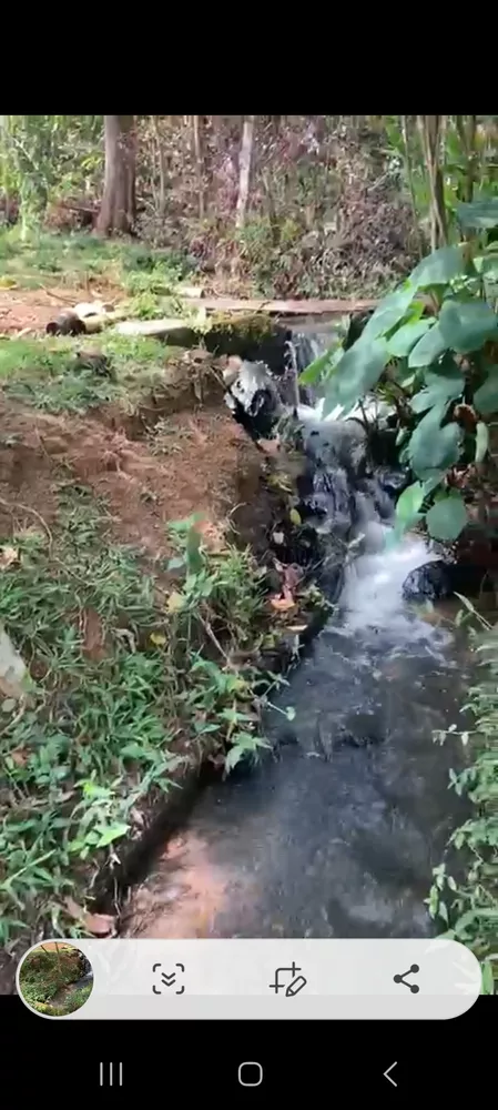 Chácara, 3 quartos - Foto 7