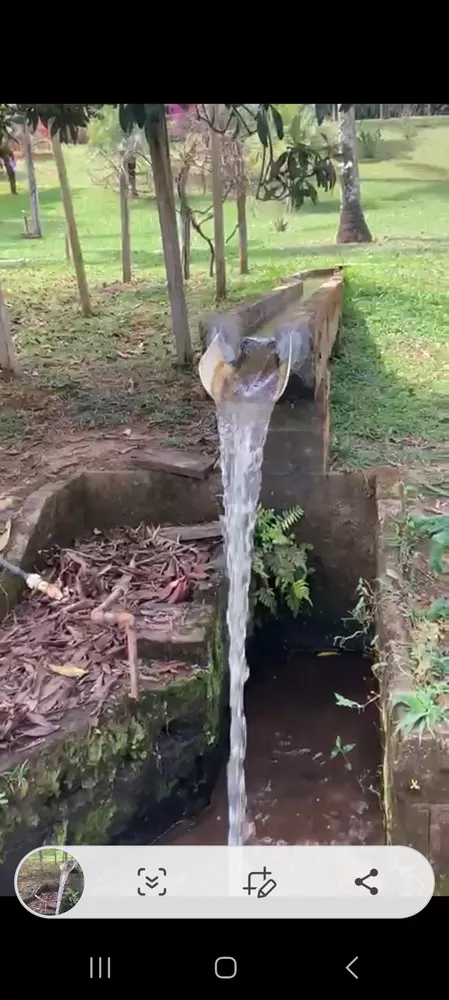 Chácara, 3 quartos - Foto 6